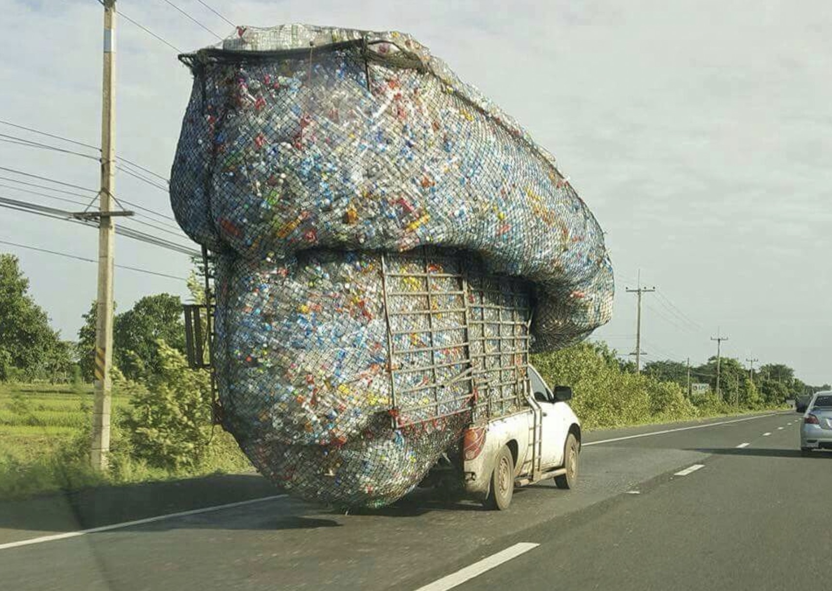 These are microplastics all pulled out of just one person.